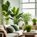 How Do the Best Air Purifying Plants Contribute to Eco-Friendly Living?
