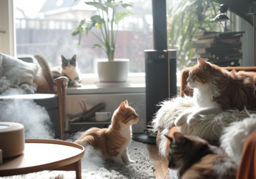 Reduce Pet Dander From Dogs And Cats With These Expert Tips